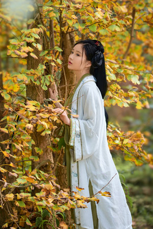 姐妹病毒完整版