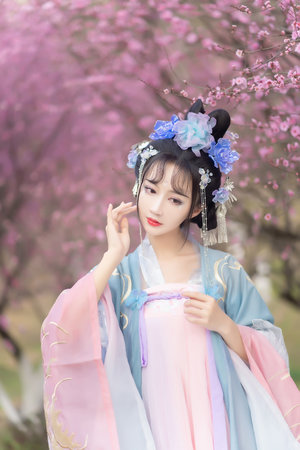 乐可免费阅读全文在线阅读金银花露
