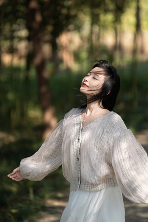 神机妙算刘伯温